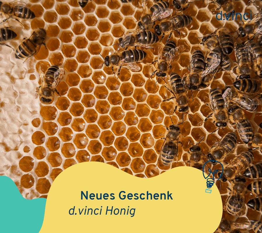 Ein Foto zeigt viele Bienen auf einer Honigwabe. Geschmückt ist das Bild mit einer türkisen und gelben Welle und dem Titel des Blogbeitrags.